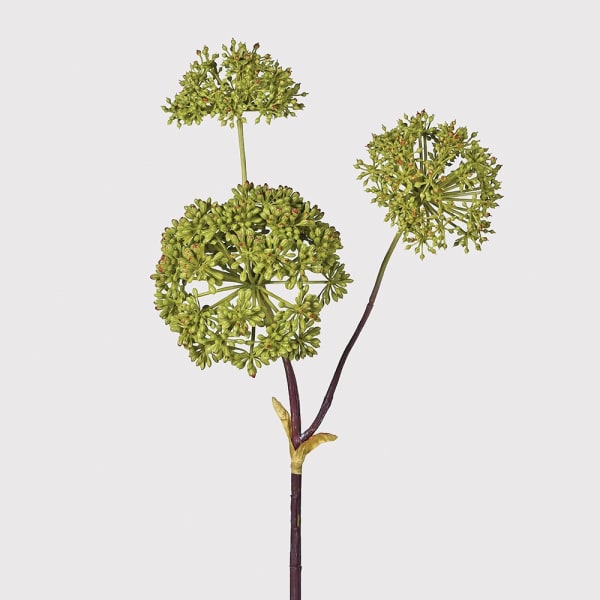 Green Angelica seed head balls on stem, buy in a pack of 6. Dimensions: H:760 mm Delivery: 7-10 working days